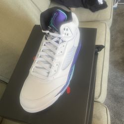 2025 Air Jordan retros 5  grapes