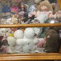 Vintage Dolls in wood & glass case