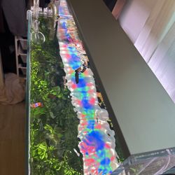 Twin Star Light III 600E