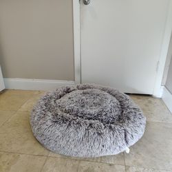 New Dog Bed