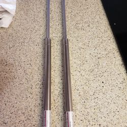 Stainless Lift Supports/ Boat