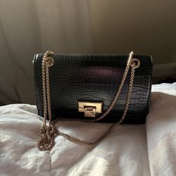 Aldo Purse