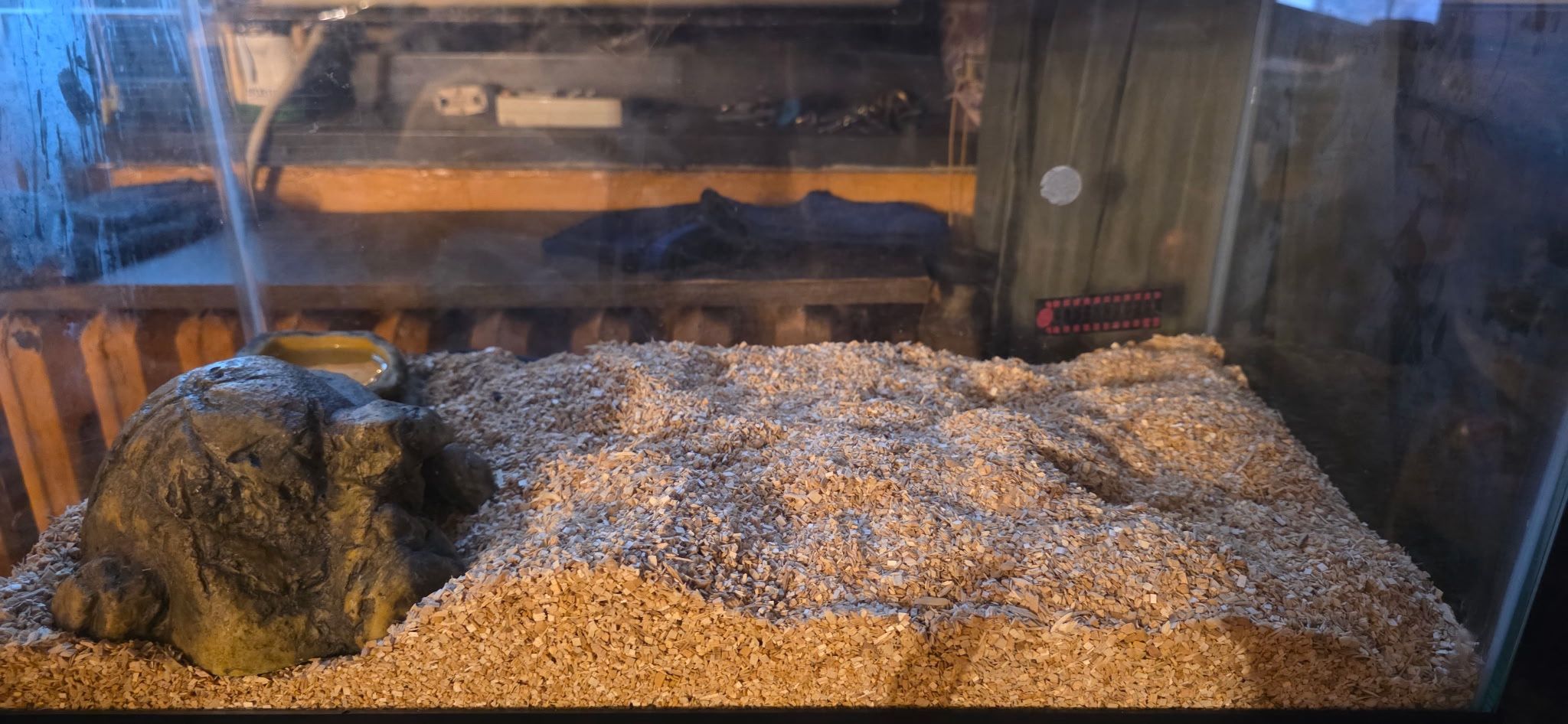 Snake Enclosure W/ kenyan sand Boa Included