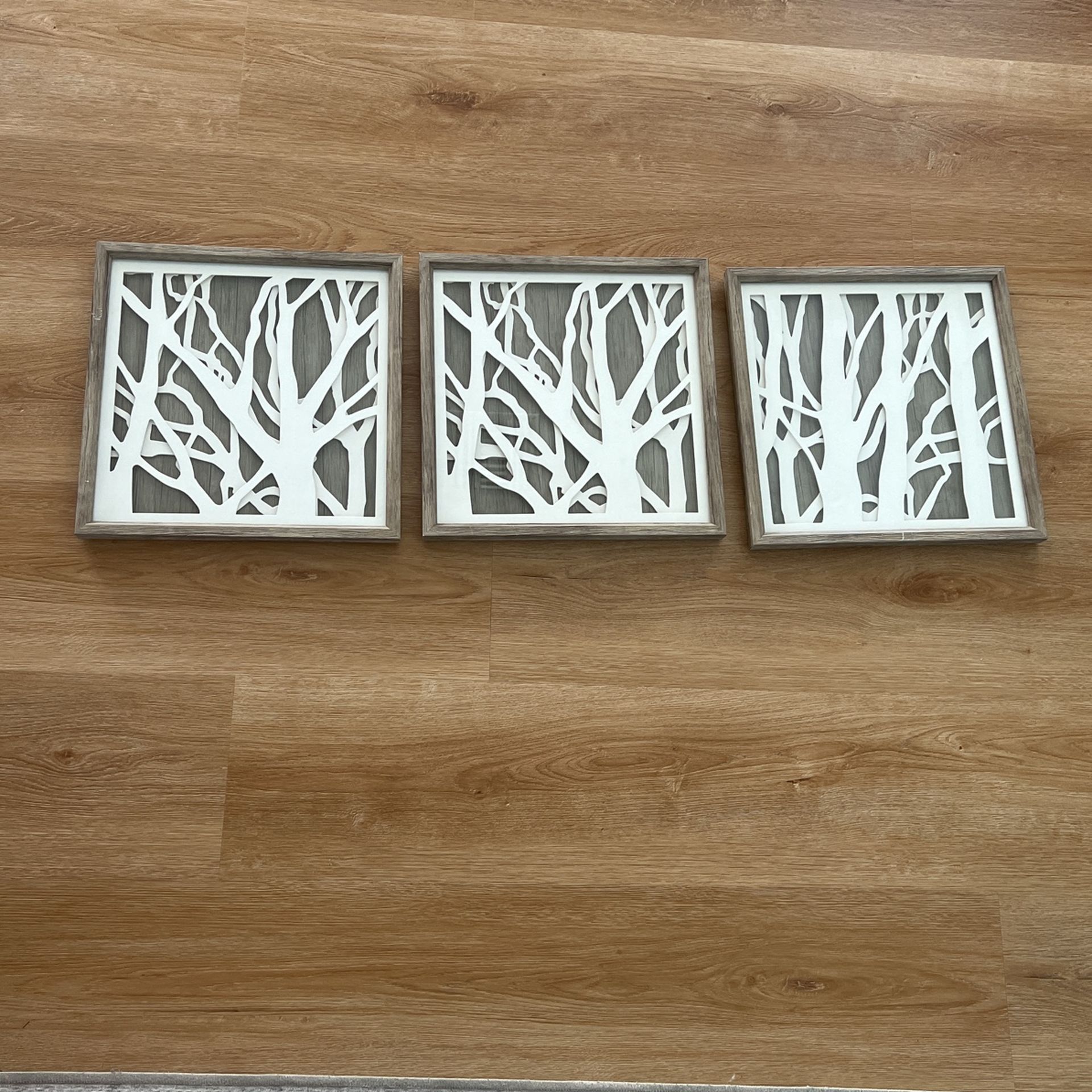 (3) 16”x16” Frames