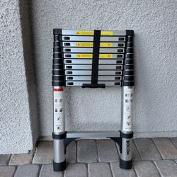 Telescoping Ladder 