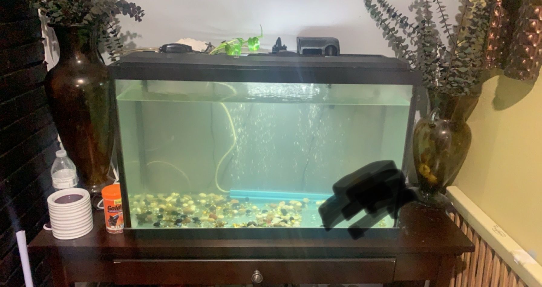 Fish tank n stand table