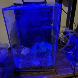 3 gallon marineland, contour aquarium, and accessories