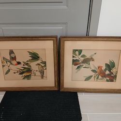 1942 Roger Tory Peterson Lithographs - Cardinals, Rose-Breasted Grosbeaks