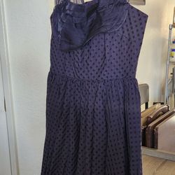 Brand New Anthropologie Dress (Size 8)