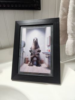 Seal Picture