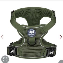 Dog Harness