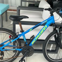 Bike Made For Pacific Cycle Inc