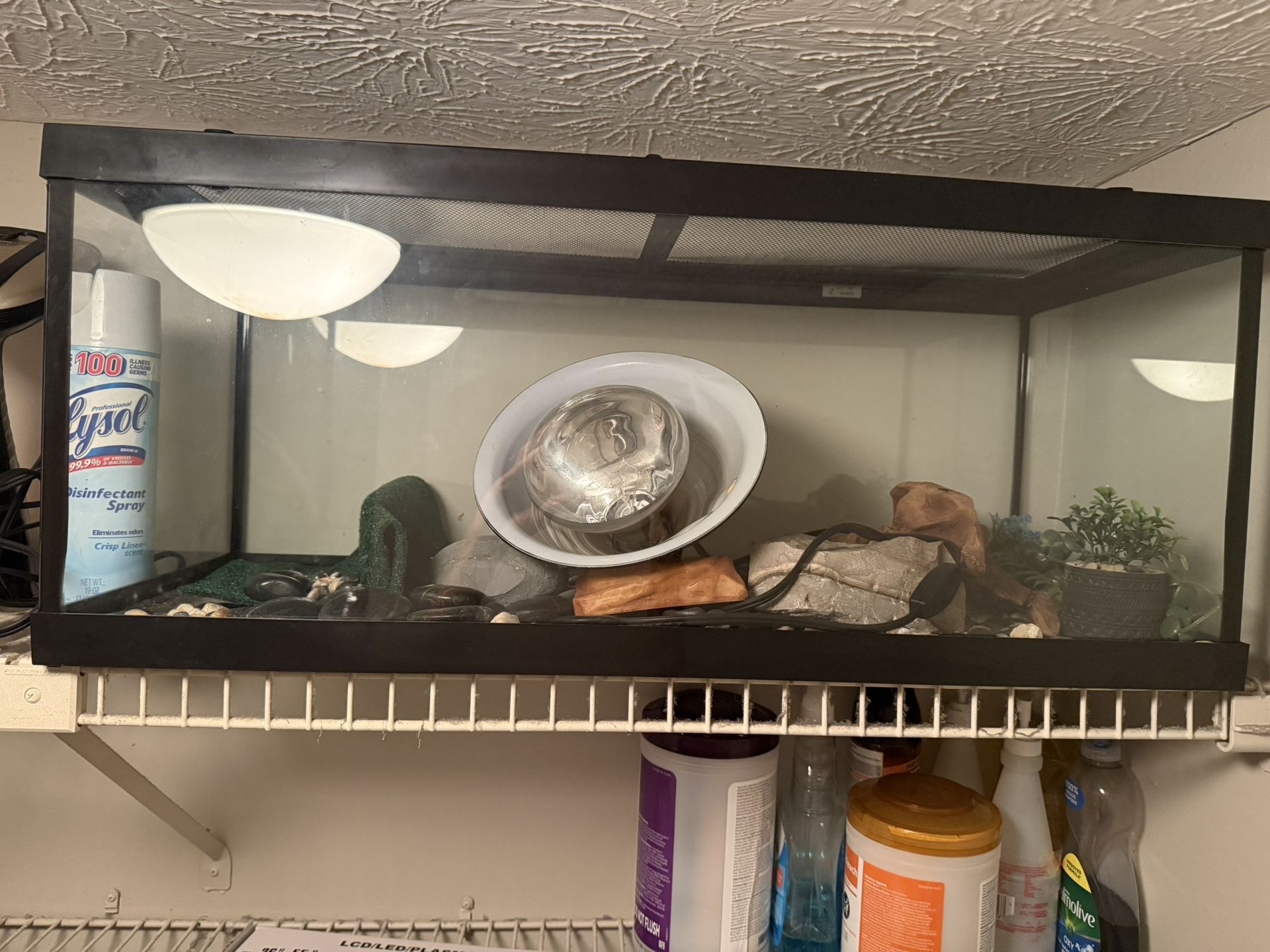 Tank & Light