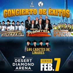 Conjunto Primavera🎟