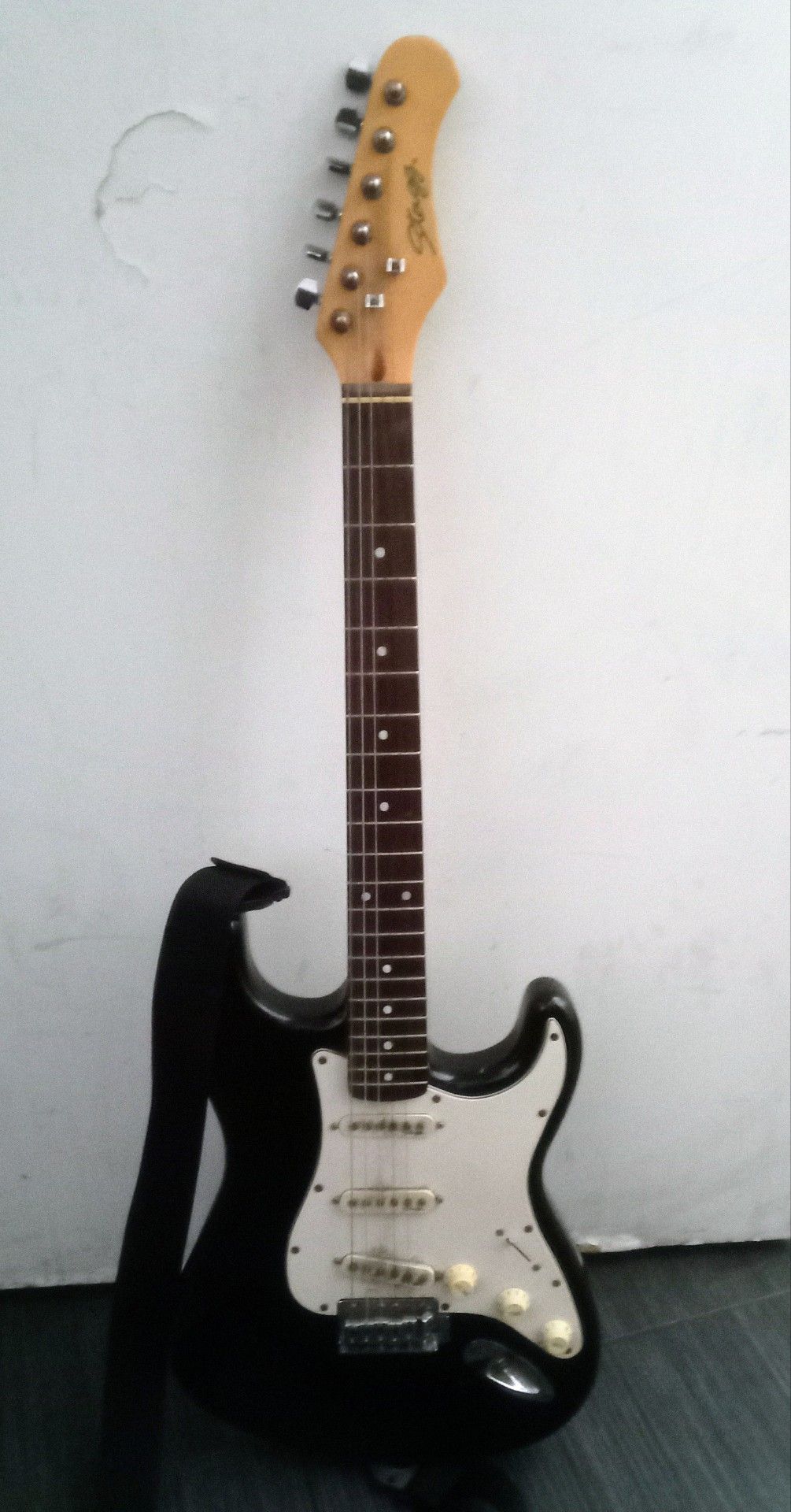 Electric Guitar