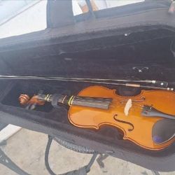 Violin