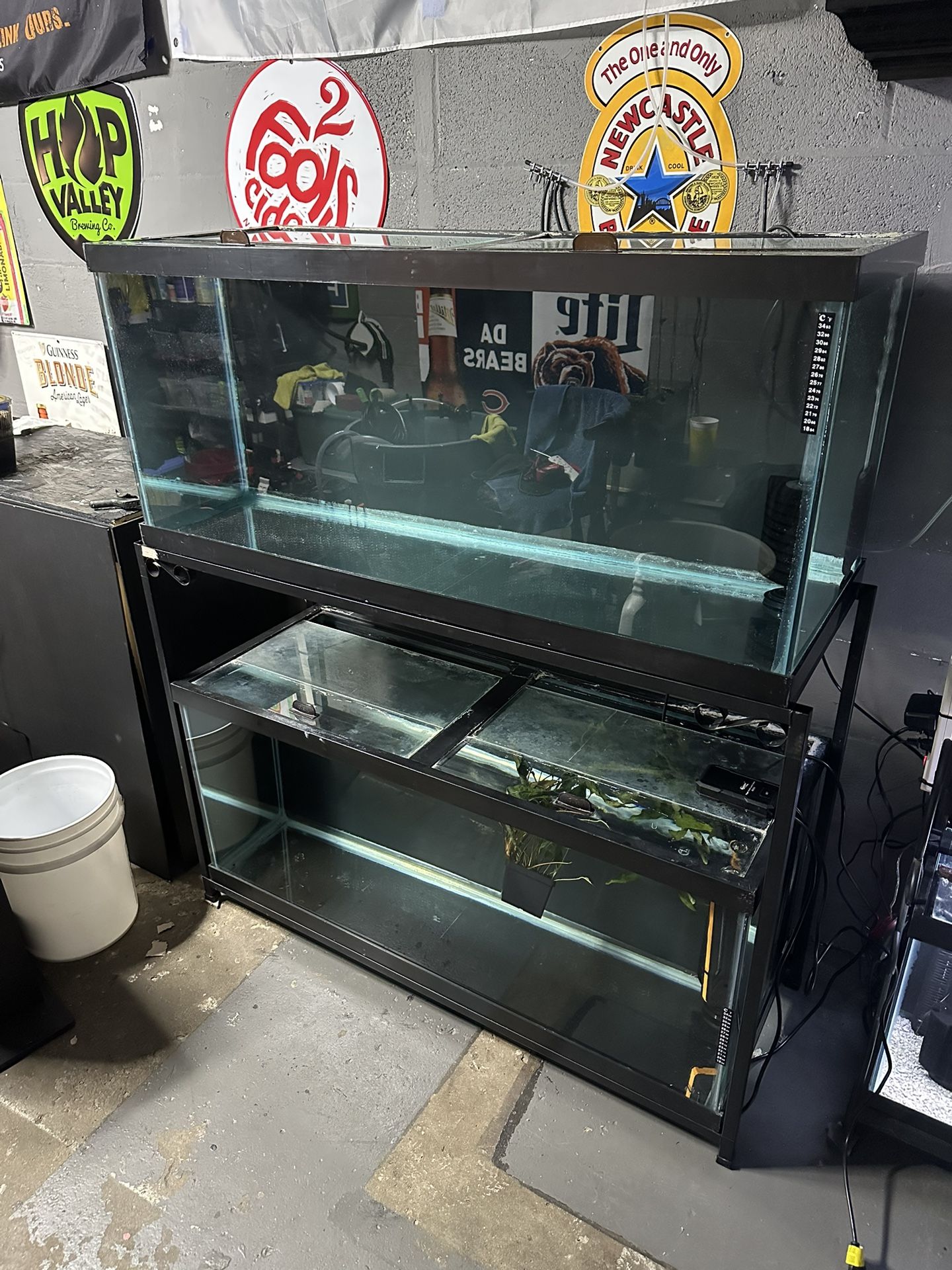 75 Gallon Aquarium 