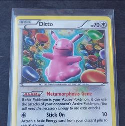 Pokemon Ditto Pikachu