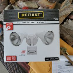 Motion security light