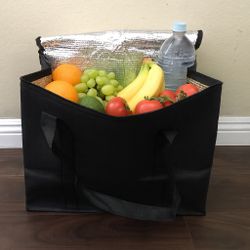 Insulated Food Storage And Delivery Bag - Large 