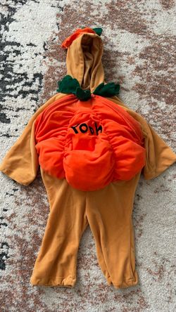 Pooh Bear Pumpkin Costume Size 18-24 months