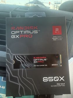 Sandisk Optimus GX pro SSD