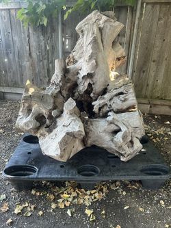Olive Tree Stump Garden Art