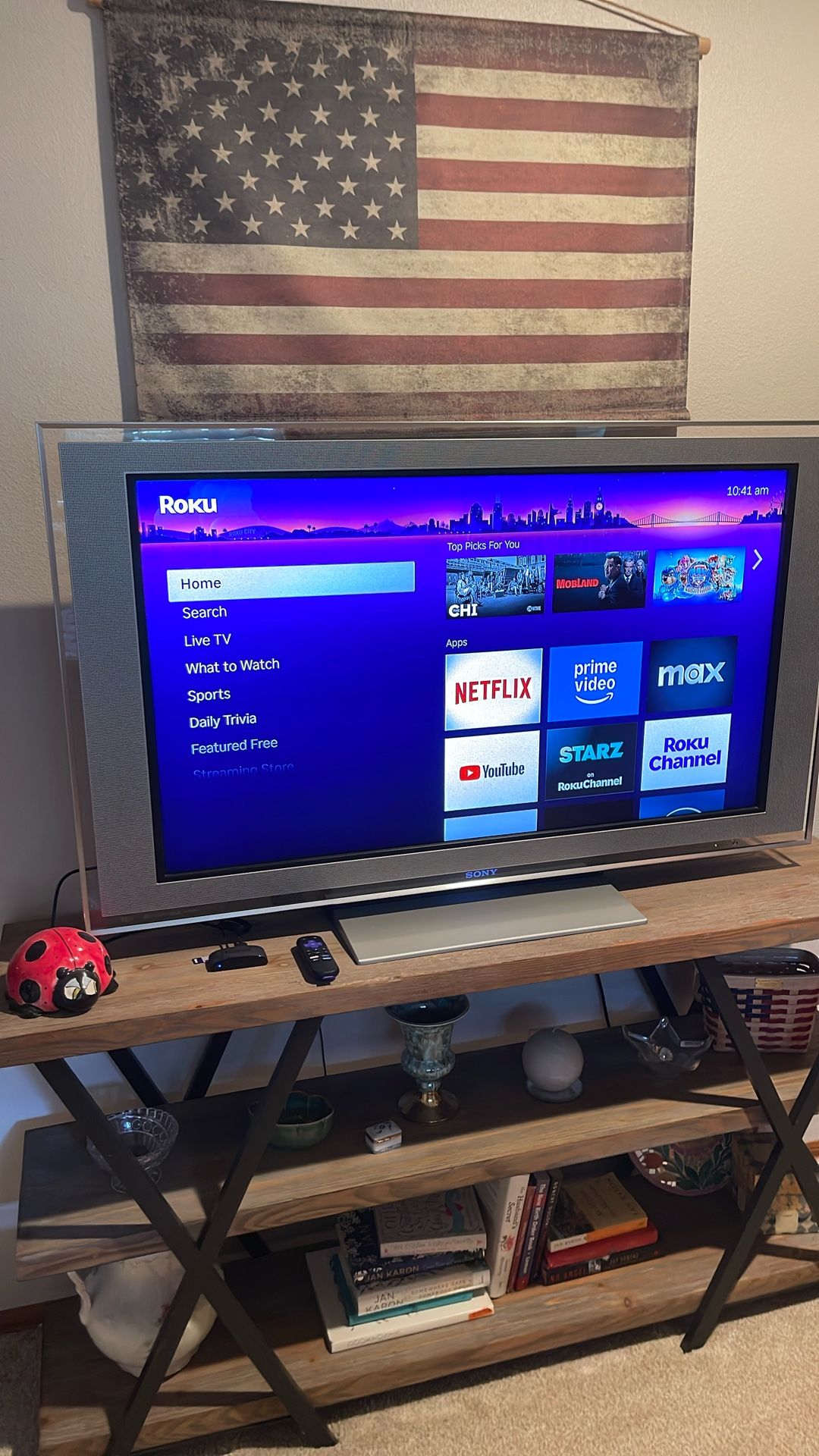 Sony Bravia TV