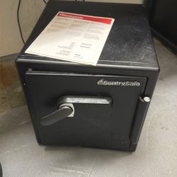 Sentry Safe
