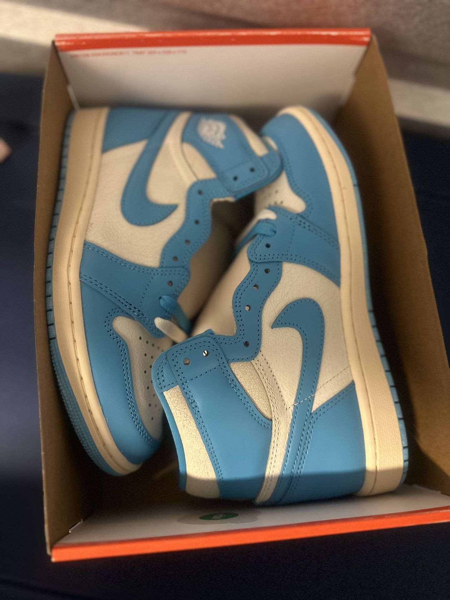 Jordan 1 Unc 2025 