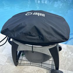 Portable Weber Q BBQ Grill