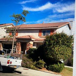 Trabajos De Pintura Precios Económicos