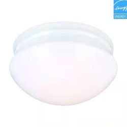 9 in. White LED Flush Mount