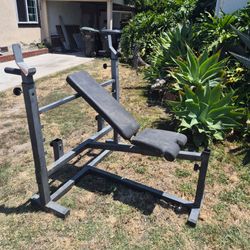 Olympic bench