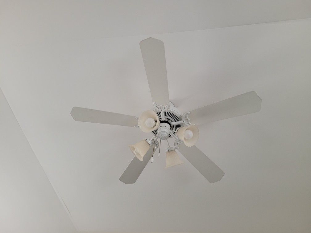 Ceiling Fans