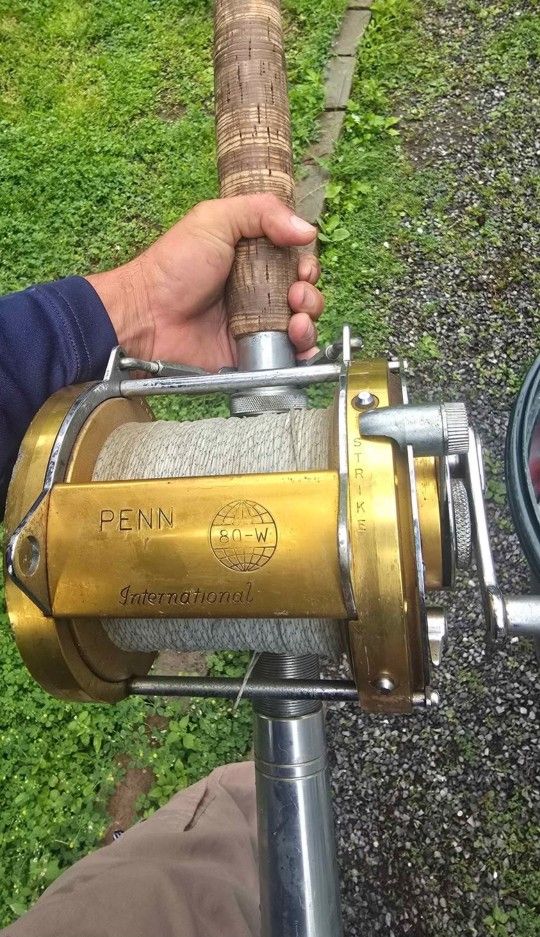 Penn International Rod And Reels