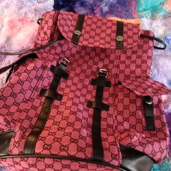 Gucci Bag / Backpack 