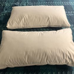 goose feather king pillows