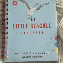 The Little Seagull