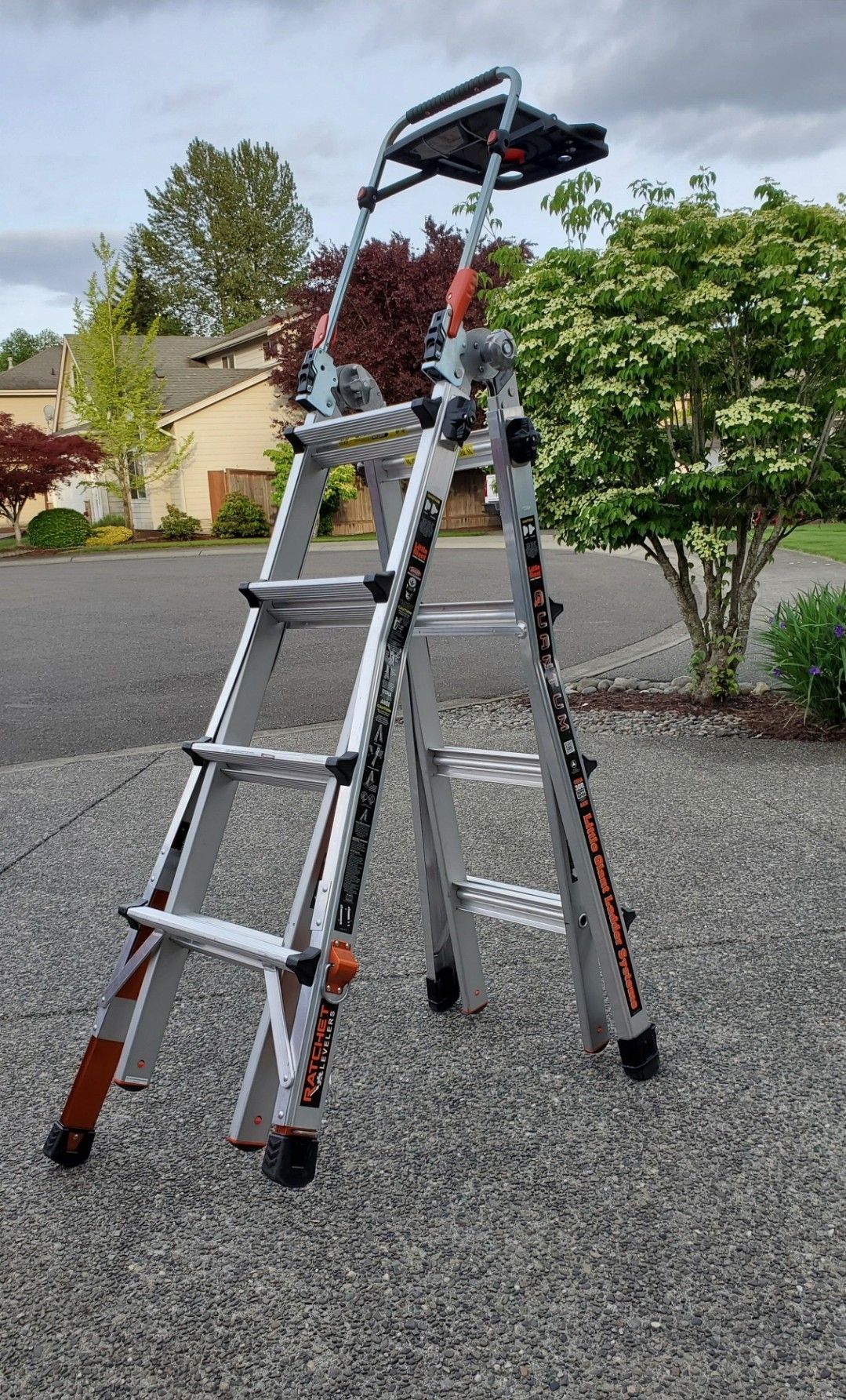 Little Giant Quantum Extreme Ladder for Sale in Edgewood, WA OfferUp