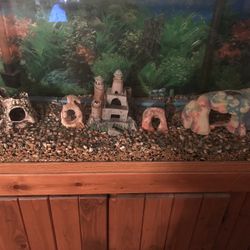 80 GALLON  FISH TANK 