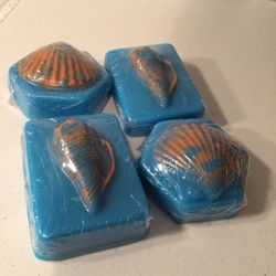 Seashell soap