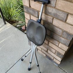 foldable walking stick chair