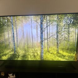 Insignia 65” Fire TV (Model: NS‑65F301NA23) – Great Condition!