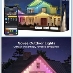 GOVEE House Lights