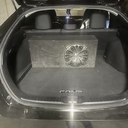 10” Subwoofer And Box 