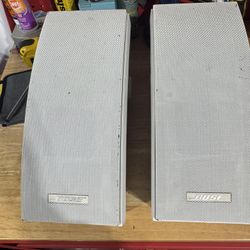 Bose Outdoor Speaker 