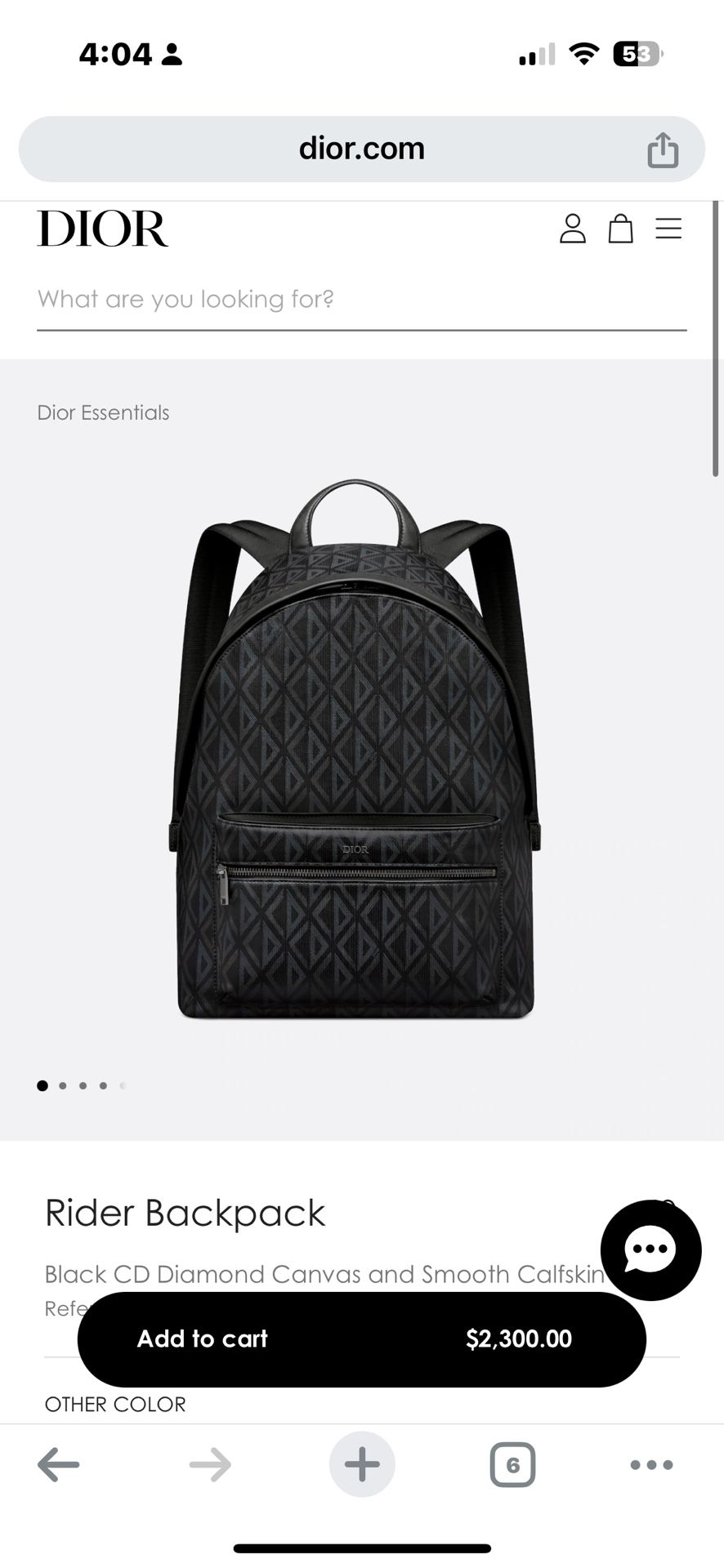 Dior Backpack 