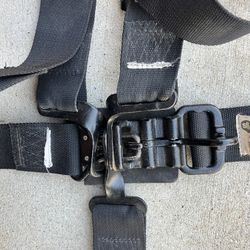2” RaceQuip 5-point Harness