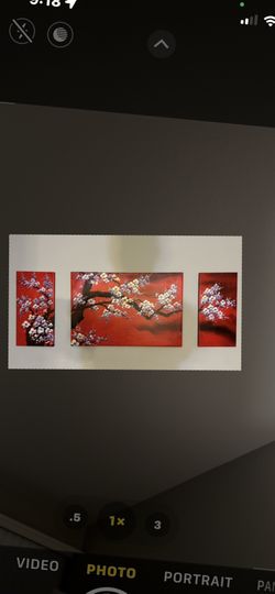 Canvas 3 Panel Cherry Blossoms Painting